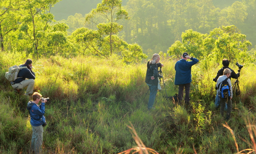 Flores Komodo Photo Tours